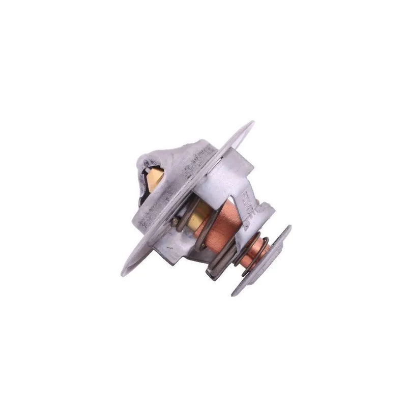 Wyjątkowa oferta Termostat 98463637 Case POLMO