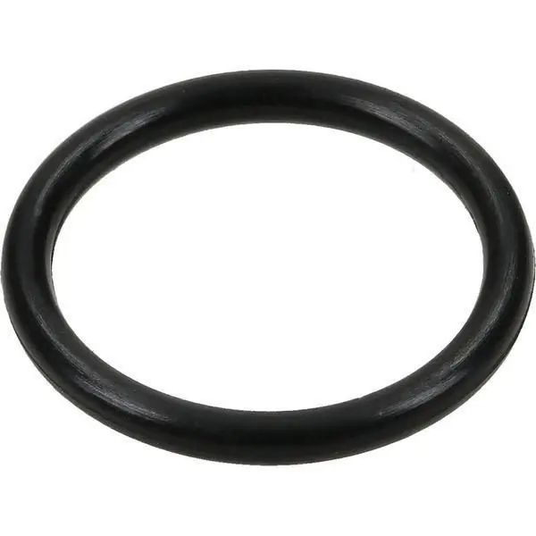 Oring 140 x 2 mm Carraro CI028507 Tylko dziś