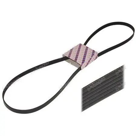 Bestseller Pas wielorowkowy 86011009 New Holland 8PK2810