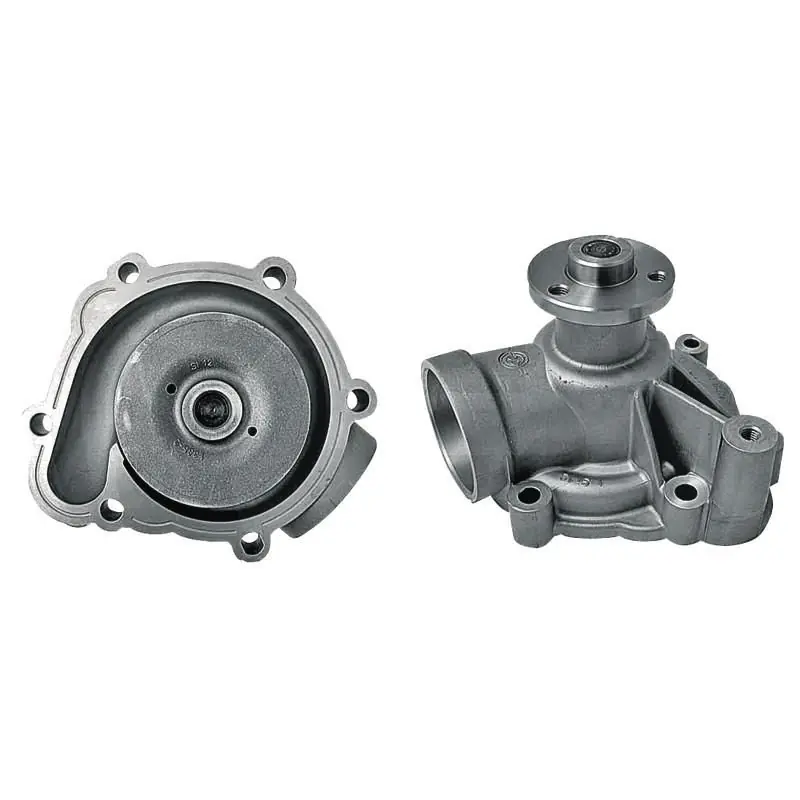 Szybka dostawa Pompa wodna Fendt F119200610100, F119200610060, F119200610010, F119200610070, F119200610080, F119200610090