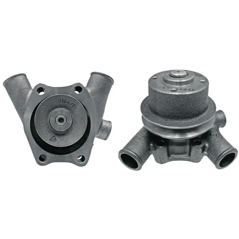 Pompa wodna Manitou 123100200 Oferta czasowa