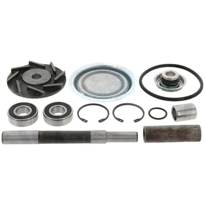 Zestaw naprawczy Steyr 131100060700 Kup teraz