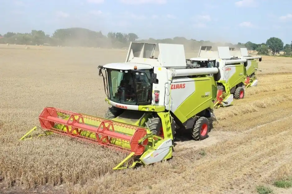 Najlepsza cena Kosz sitowy dolny Claas Dominator 725033