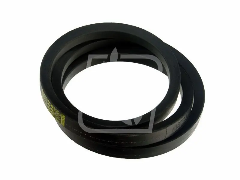 Pas 418209M1 22 x 1625 Najlepsza cena