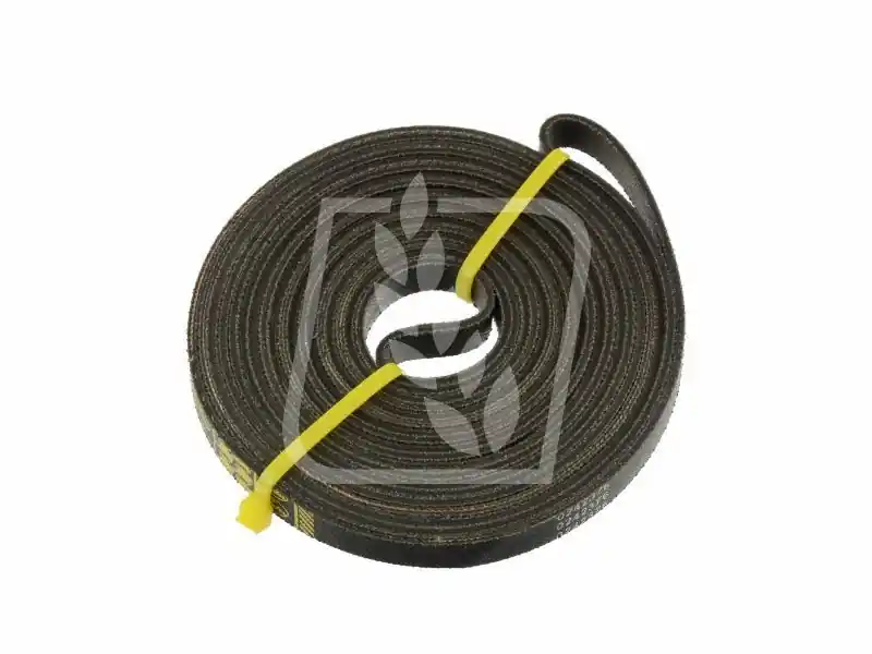 Pas Gates 0242376 Oferta limitowana