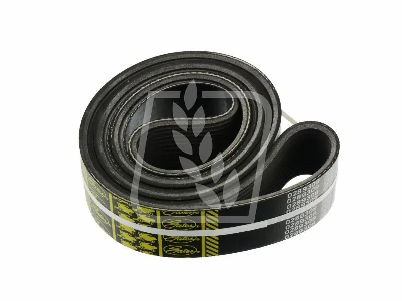 Pas Gates 0289309 Oferta limitowana