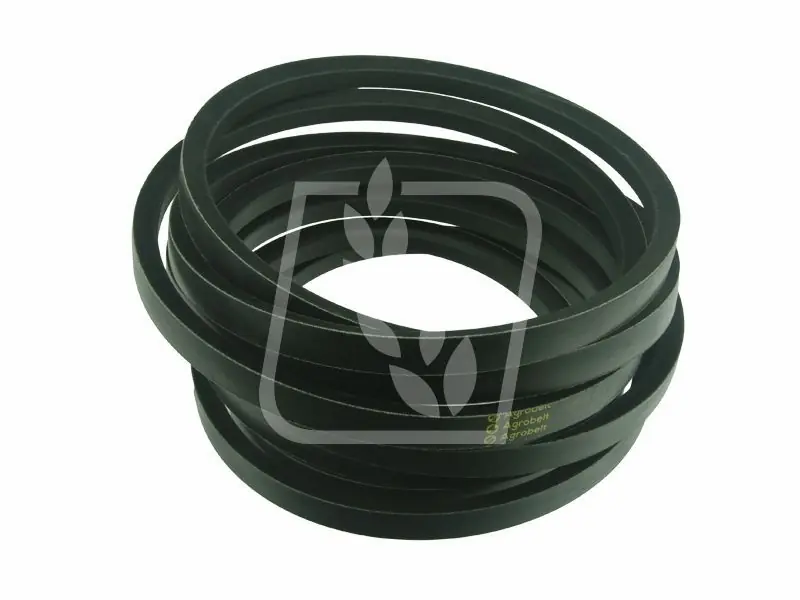 Rabat Pas sieczkarni Claas 061360 22x8229 Agrobelt