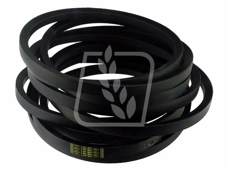 Ograniczona ilość Pas sieczkarni Claas 061360 22x8229 Gates