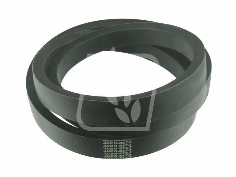 Pas wariatorowy D41980100 Massey Ferguson 51 x 3245 Agro-Belt Kup online