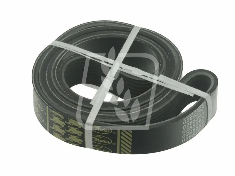 Niska cena Pas wielorowkowy R133693 0285257